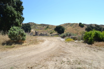 Enlarge photo 12