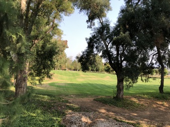 Enlarge photo 36