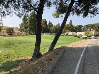 Enlarge photo 17