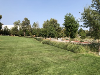 Enlarge photo 25