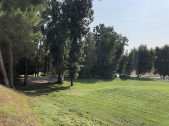 Enlarge photo 45