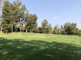 Enlarge photo 31
