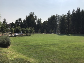Enlarge photo 21