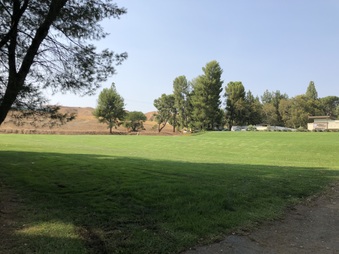 Enlarge photo 43