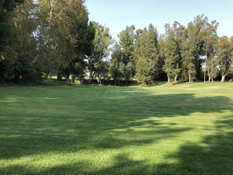 Enlarge photo 27