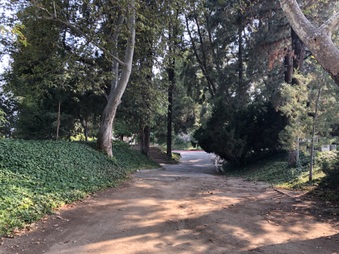 Enlarge photo 33