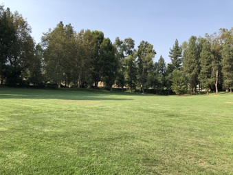 Enlarge photo 22