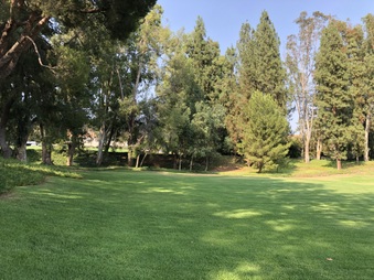Enlarge photo 28