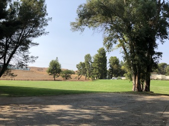 Enlarge photo 41