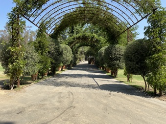 Calamigos Ranch