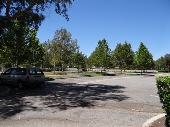 Enlarge photo 76