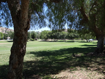 Enlarge photo 68