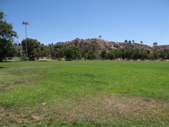 Enlarge photo 63