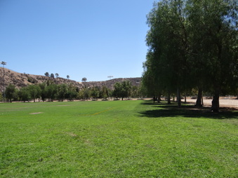 Enlarge photo 62