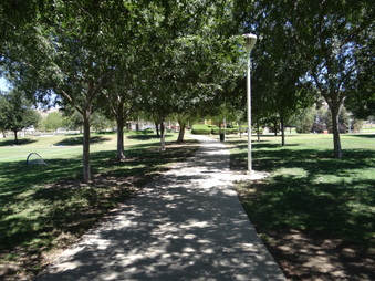 Enlarge photo 59
