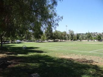 Enlarge photo 57