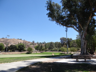 Enlarge photo 48