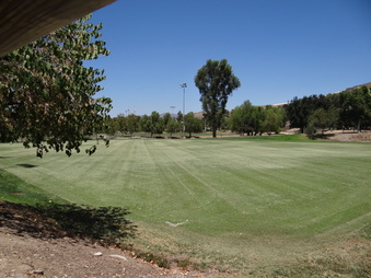 Enlarge photo 43