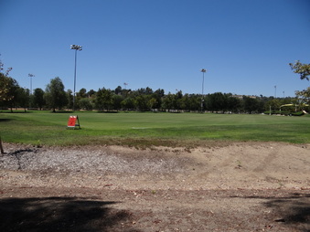 Enlarge photo 41