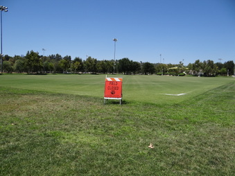 Enlarge photo 40