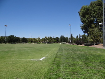 Enlarge photo 38