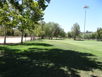 Enlarge photo 37