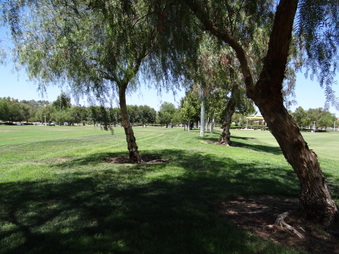 Enlarge photo 33