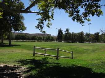Enlarge photo 17