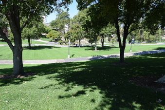 Enlarge photo 63