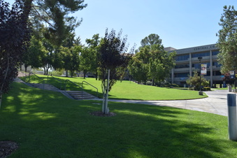 Enlarge photo 74