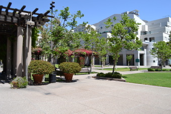 Enlarge photo 15