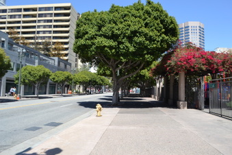 Enlarge photo 21
