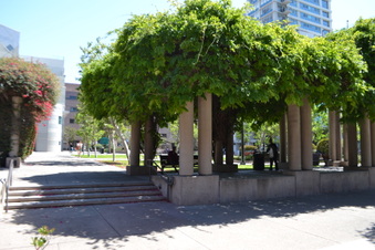 Enlarge photo 23