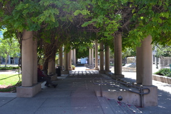 Enlarge photo 24