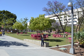 Enlarge photo 16