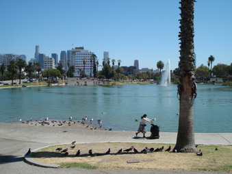 Enlarge photo 21