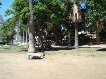 Enlarge photo 14
