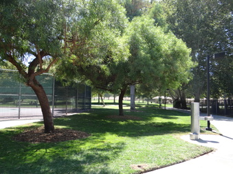 Enlarge photo 29