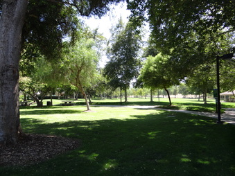 Enlarge photo 28
