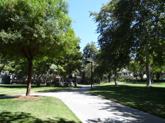 Enlarge photo 26