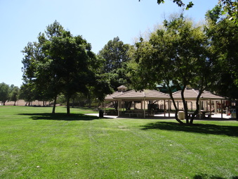 Enlarge photo 23