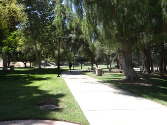 Enlarge photo 21