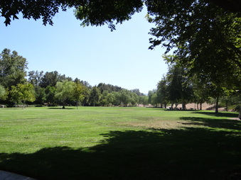 Enlarge photo 19