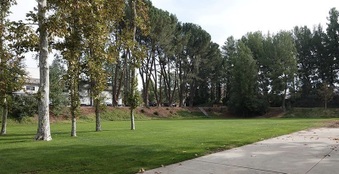 Enlarge photo 11