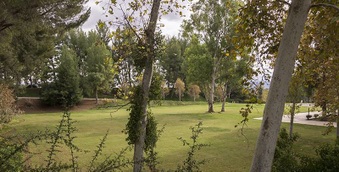 Enlarge photo 43
