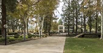 Enlarge photo 49