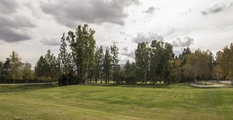 Enlarge photo 51