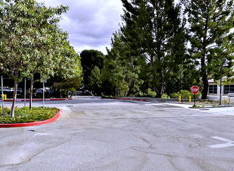 Enlarge photo 55