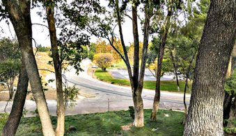 Enlarge photo 56