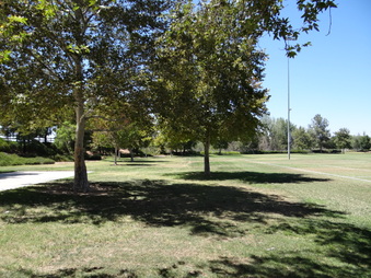 Enlarge photo 25
